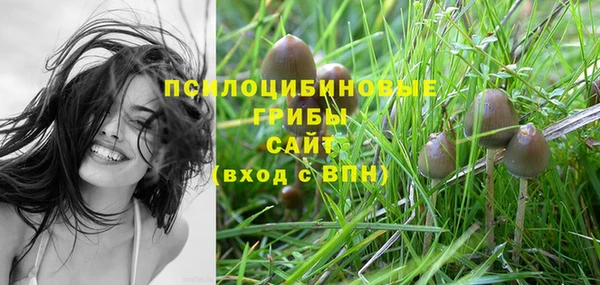 MDMA Белокуриха