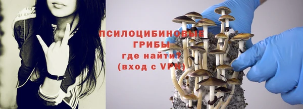 сатива Белоозёрский