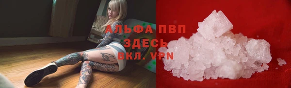 стафф Надым