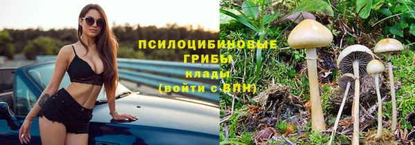 MDMA Белокуриха